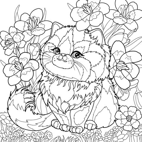 Gato na cama de flores