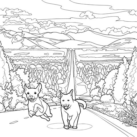 Dois cães correndo na estrada
