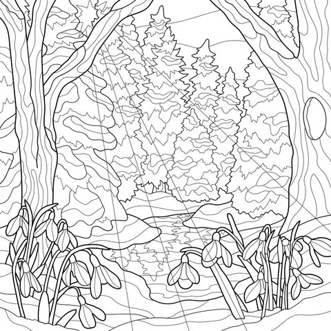 Beautiful Springtime Forest Stream Scene