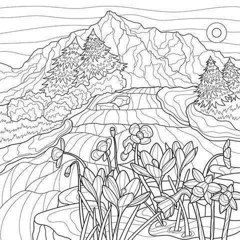 Lindo Paisagem Primaveral do Riacho de Montanha