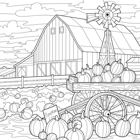 Harvest scene of pumpkins on the farm