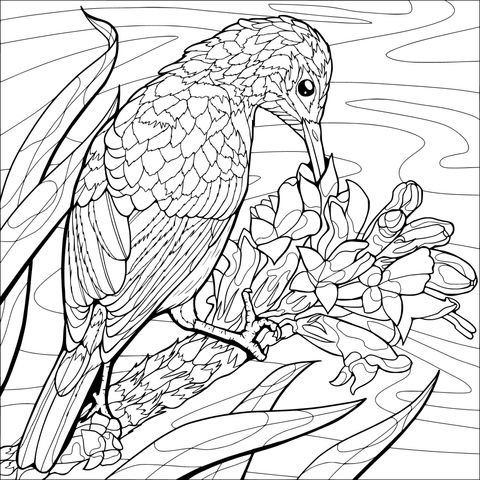彩鸟与红花