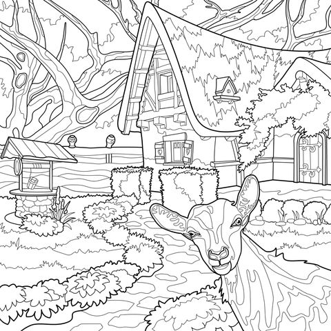 乡村小屋旁的山羊