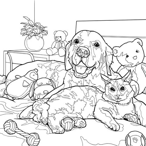 猫狗与毛绒玩具同处一床