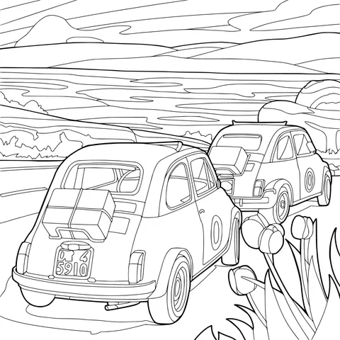 Two Vintage Cars on the Road