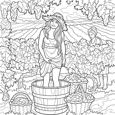 Woman stomping grapes in the vineyard