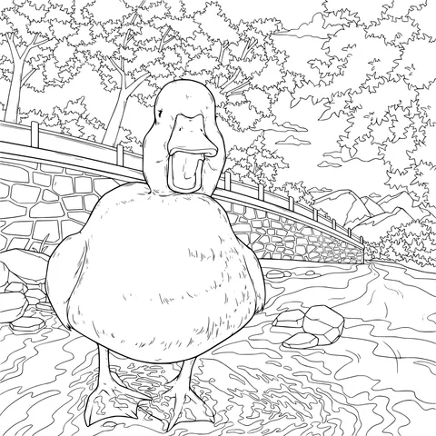 Duck by the River