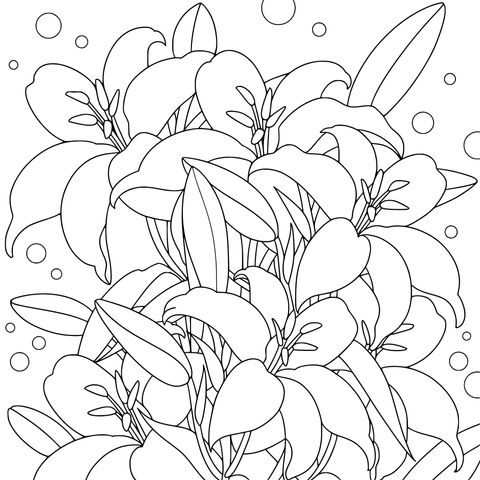 多彩百合花束