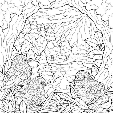 鸟瞰山林美景