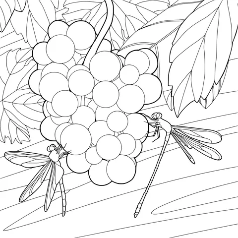 Grapes and Dragonflies