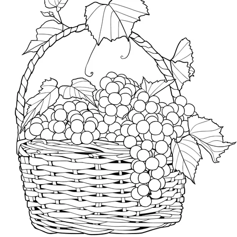 Basket Filled with Grapes