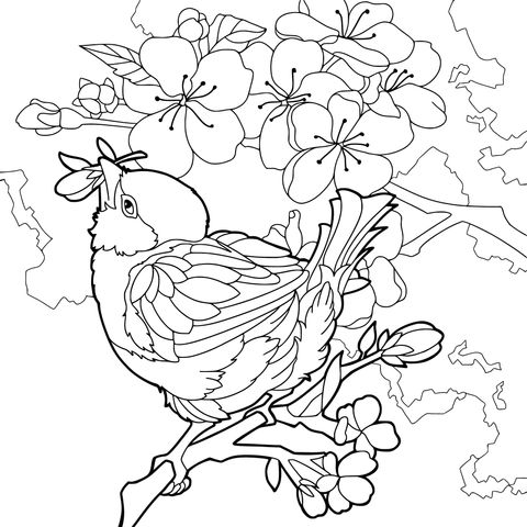 花枝上的小鸟
