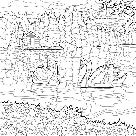 湖畔天鹅与小屋美景