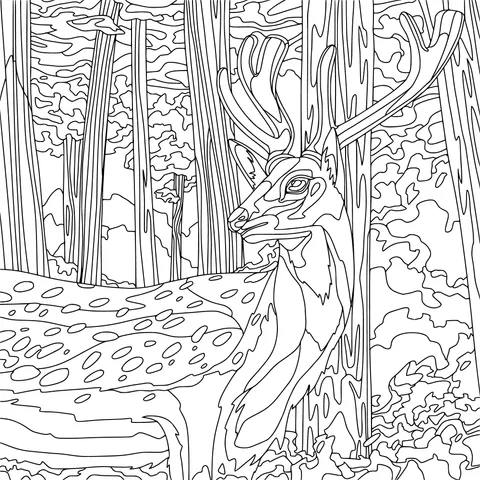 Sika Deer in the Forest