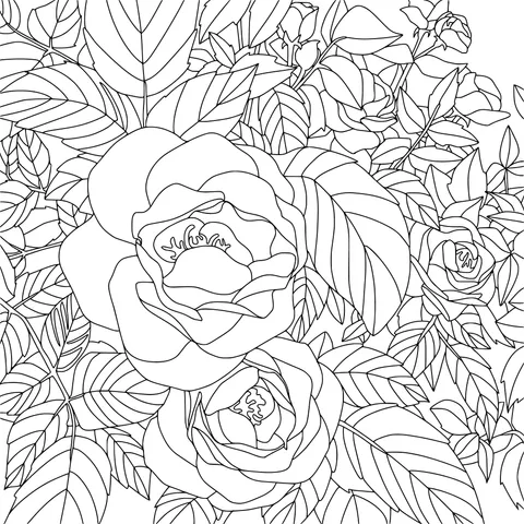 Vivid Rose Bushes