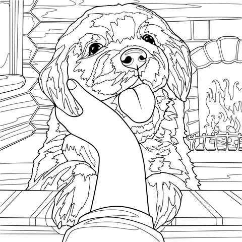 Petting a Golden Retriever