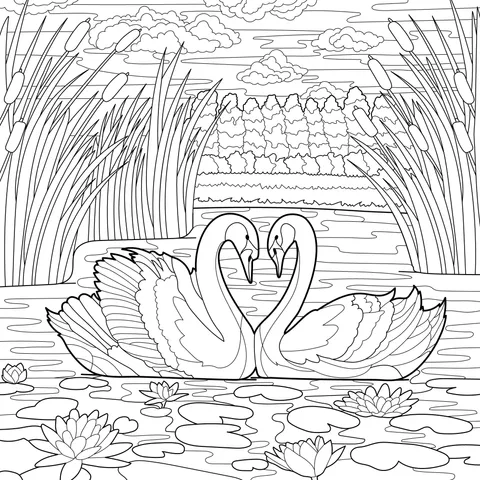 Swan Partners on the Lake