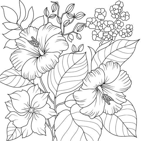 多彩花卉插画