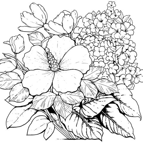 多彩花卉插画