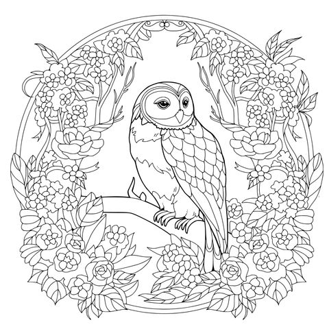 花丛中的猫头鹰