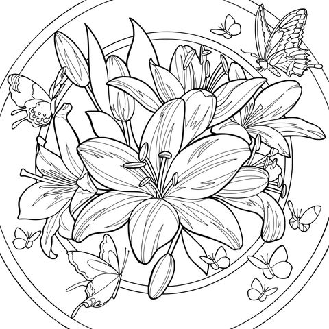 百合与蝴蝶的梦幻插画