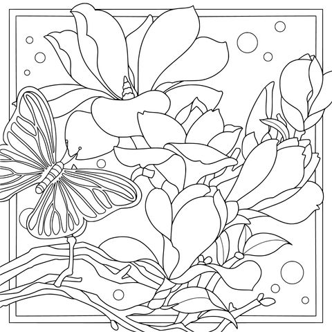 蝶戏玉兰花