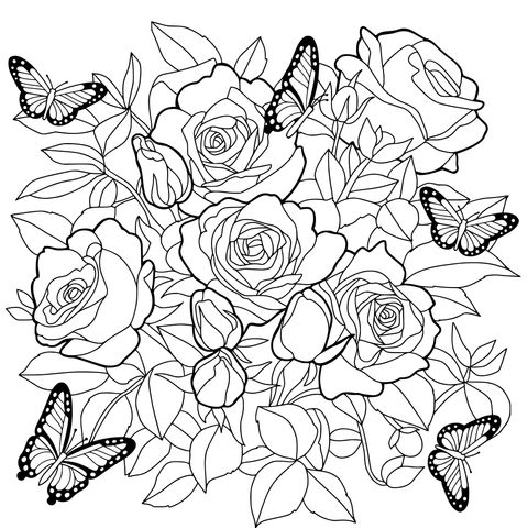 玫瑰与蝴蝶插画