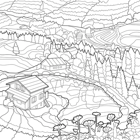Rural Scenery