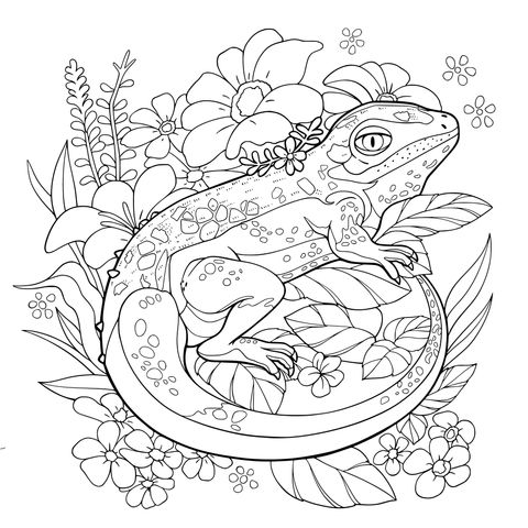 花丛中的蜥蜴