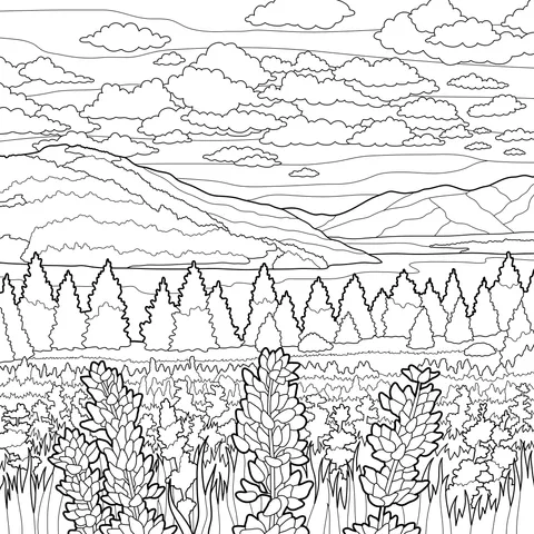 Colorful Flower - filled Field and Landscape