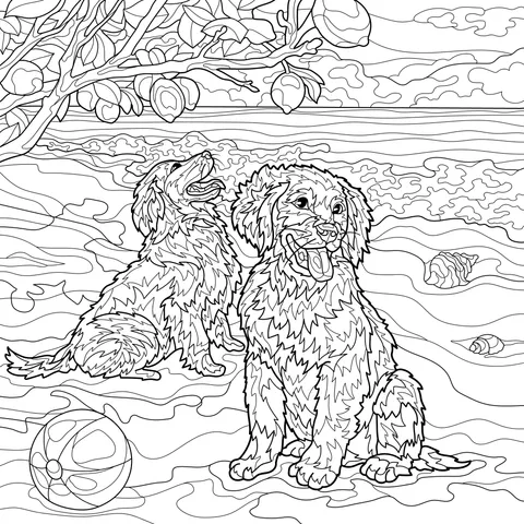 Two Puppies on the Beach