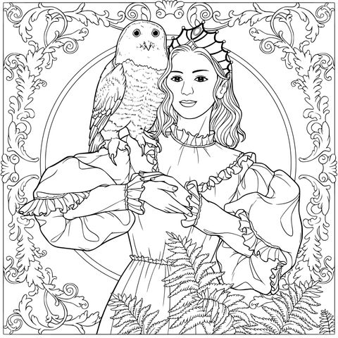 持猫头鹰的女士