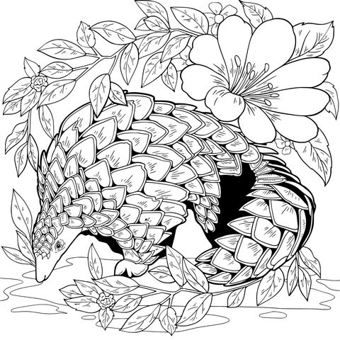 花丛中的穿山甲