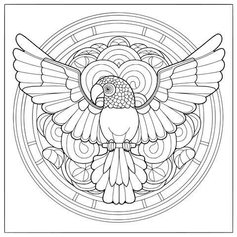 展翅的鹦鹉插画