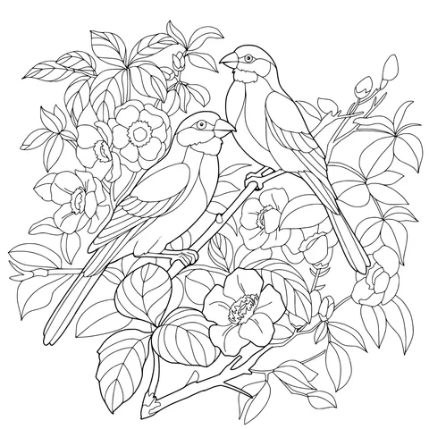 Two Birds on a Flower - laden Branch