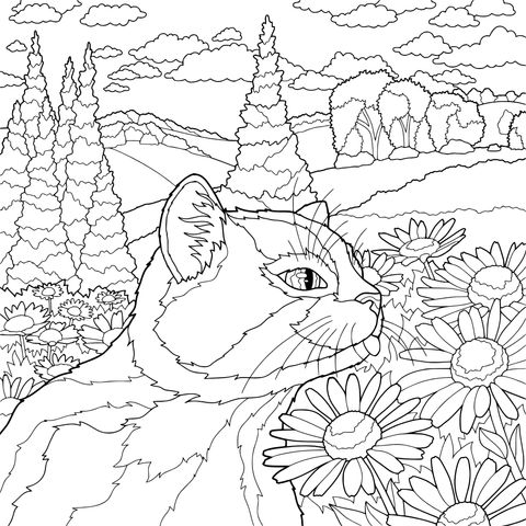 花丛中的猫咪