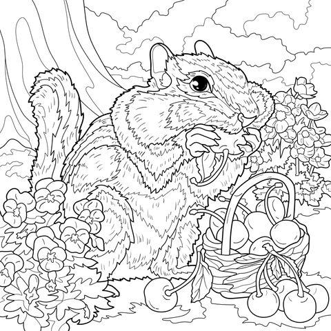 花栗鼠享用樱桃