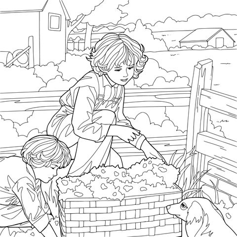 田园中的采摘时光