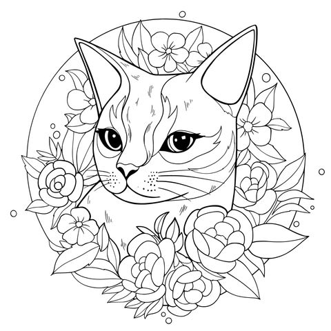 花丛中的猫咪