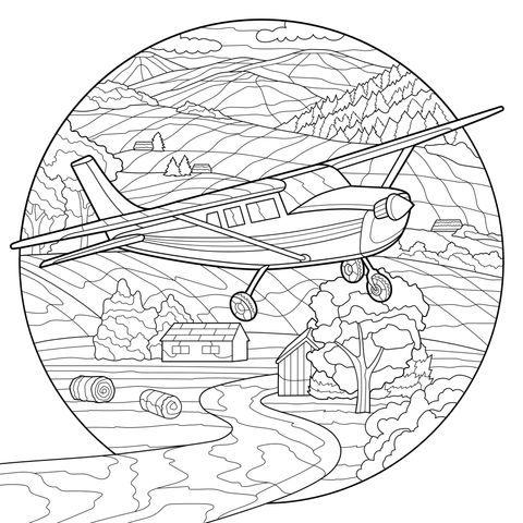 田园上空的飞机