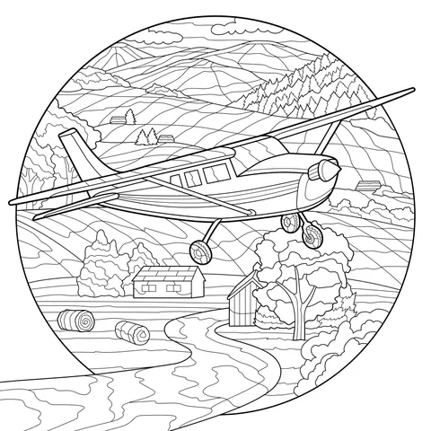 Airplane over the Countryside