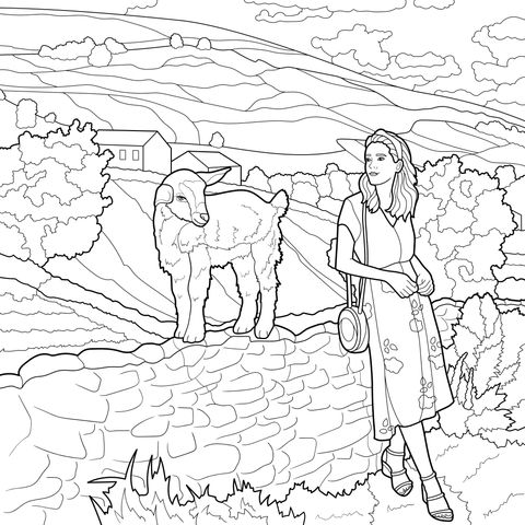 女子与小羊在田园风光中