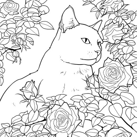 花丛中的猫咪