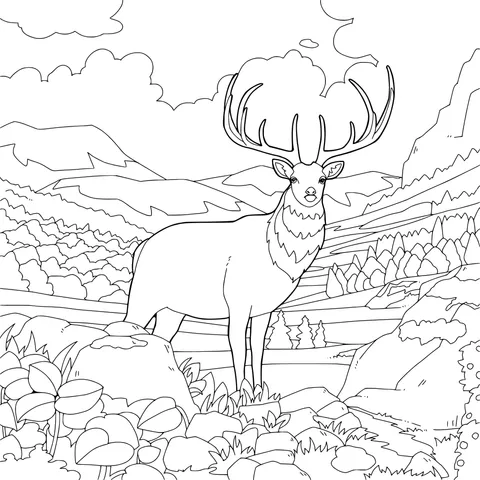 Stag in the Mountains