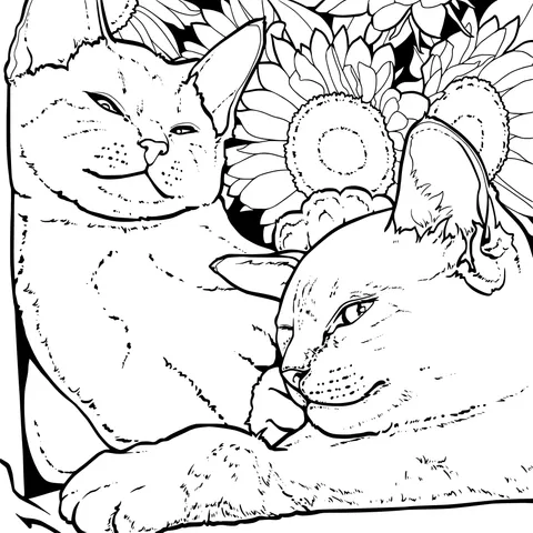 Snuggling Cats and Sunflowers