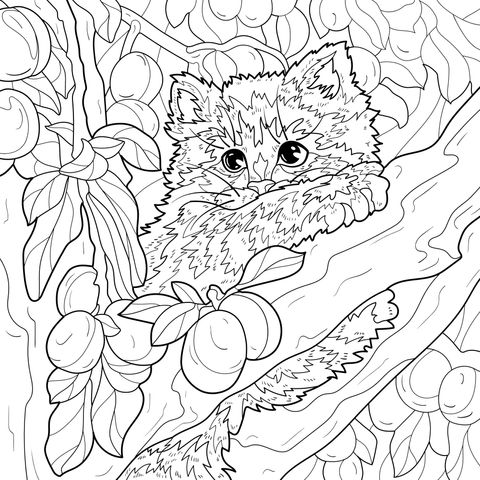 树上的小猫