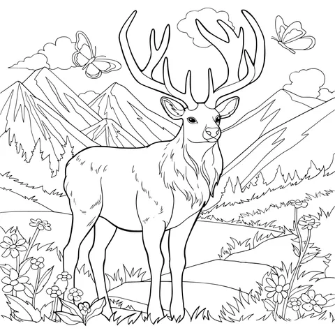 Elk in the Mountains