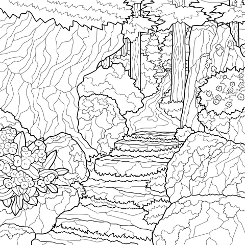 A Path in the Mountain Forest