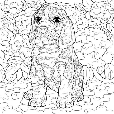 花丛中的小猎犬
