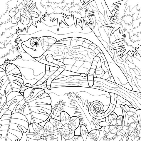Colorful Chameleon on a Branch